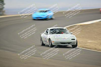 media/Jan-26-2025-CalClub SCCA (Sun) [[cfcea7df88]]/Group 4/Race/